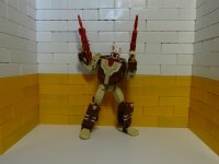 DSC01806.jpg
